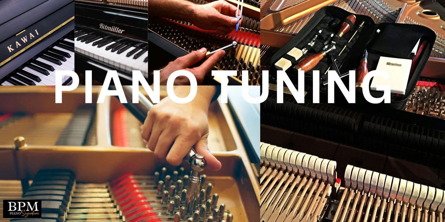 Light Grayish Orange Special Offer Banner Landscape