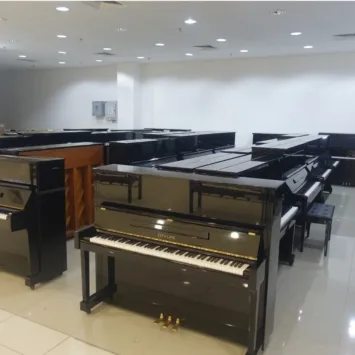 WhatsApp Image 2025-02-19 at 2.37.45 PM