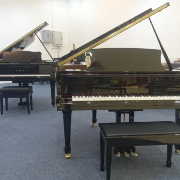 WhatsApp Image 2025-02-19 at 2.37.46 PM